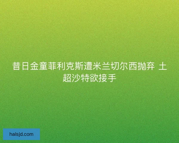 昔日金童菲利克斯遭米兰切尔西抛弃 土超沙特欲接手