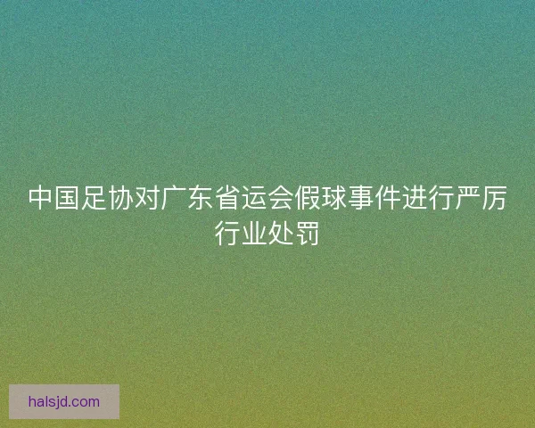 中国足协对广东省运会假球事件进行严厉行业处罚